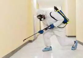 End of Lease Pest Control Service In Gold Coast, Gold Coast