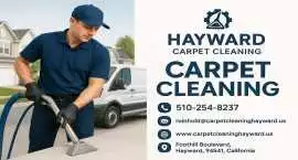 Hayward Carpet Cleaning, Hayward