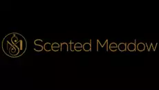 Best Perfumes For Men, York