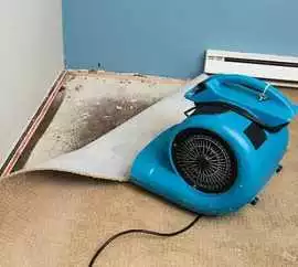 After Death Cleanup: Sensitive and Professional As, Toronto
