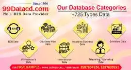 Why Businesses Need B2B Contact Database, New Delhi