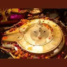 Find the Best Vedic Puja Services Online, Kolkata