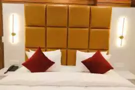 The Best Hotel in Karol Bagh?