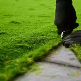 Artificial Grass Los Altos – Lush, Eco-Friendly, Los Altos