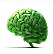 Bacopa Monnieri Extract, $ 0