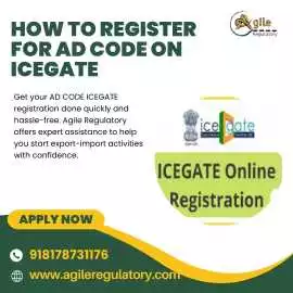 Hassle-Free AD Code Registration for Exporters , Noida