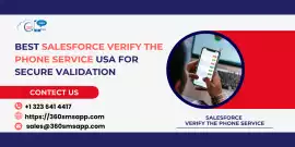 Guide to Phone Number Verification in Salesforce f, Los Angeles