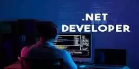 Hire Top .NET Developers in 24 Hours, Noida