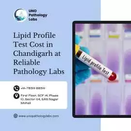 Lipid Profile Test Cost in Chandigarh Labs, Chandigarh