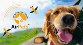 Domestic Pet Relocation Services in India , New Delhi