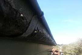 Gutter cleaning Sydney, Sydney