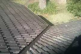 Gutter repairs Sydney, Sydney