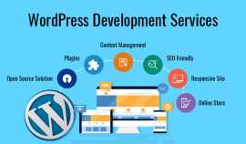 CMS Implementation Wordpress Website Developer, Noida
