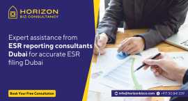 Economic Substance Regulations Services In Dubai, Dubai