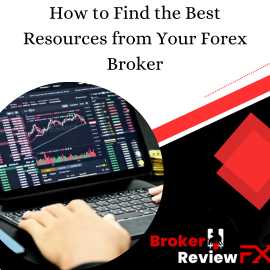 How to Find the Best Resources from Your Forex Bro, New York