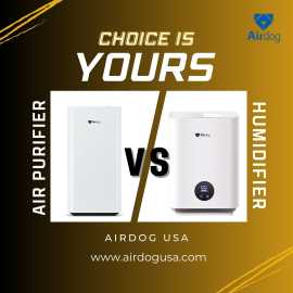 Demystifying Humidifiers and Air Purifiers, $ 389