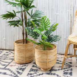 Get Indoor Plant Pots Online From ArtStory, ¥ 3,500