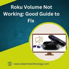 Roku Volume Not Working: Good Guide to Fix , Pune