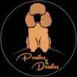 At Standard goldenDoodle & Poodles, Ahmedabad