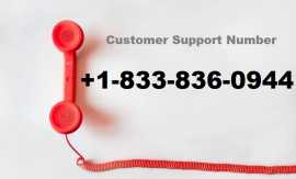 How to Contact Roadrunner Customer Service Number?, Jersey City