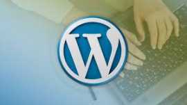Best WordPress Development Company, Chandigarh