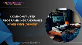 web development services, New City