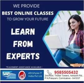 eDrishyaa IT India Pvt. Ltd (SAP Academy), Coimbatore