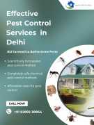 Pest Control in Delhi - Just Call Facility, Noida