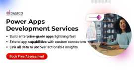 Standardize Business Efficiency with Power Apps, Belmont
