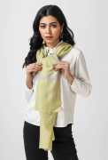 Discover Luxurious Kashmiri Pashmina Stoles, $ 23,500