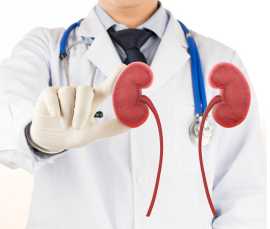 Expert kidney at JNU Healthcare with the best kidn, Jaipur