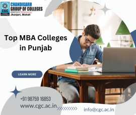 Top MBA Colleges in Punjab, Mohali