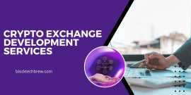 Result-oriented Cryptocurrency Exchange Software D, New York