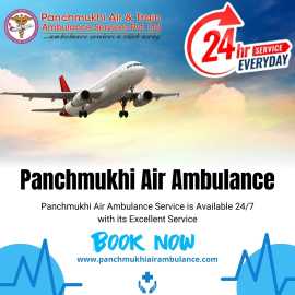 Panchmukhi Air and Train Ambulance in Patna - Easy, Patna