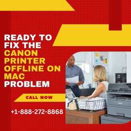 Ready to Fix the Canon Printer Offline On Mac Prob, Haltom City