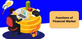 Understanding the Structure of the Finance, New York