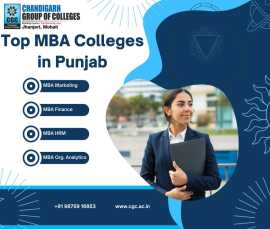 Top mba colleges in Punjab, Mohali