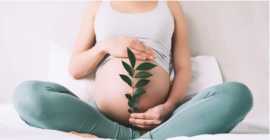 Best Cesarean Section Doctor in Ahmedabad | Diva W, Ahmedabad