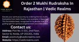 Order 2 Mukhi Rudraksha In Rajasthan | Vedic Realm, $ 0