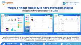 Améliorez votre centre d'appels avec VicidiaTheme, Rabat