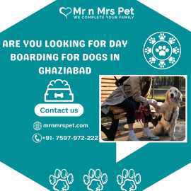 Best Day Boarding For Dogs in Ghaziabad, Ghaziabad