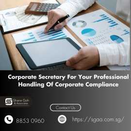 Trusted Singapore Corporate Secretary Experts, Bukit Timah