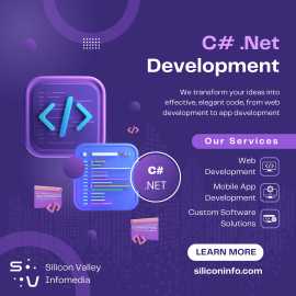 Outsource C# .Net Development , New York