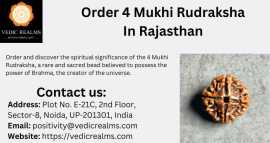 Order 4 Mukhi Rudraksha In Rajasthan, Rp 0
