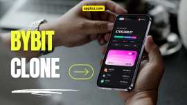 ByBit clone script, New York