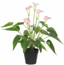 Bring Blossoms to Life with Artificial Plants and , Braeside