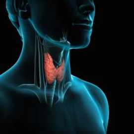 Thyroid Naturopath Sydney, Sydney