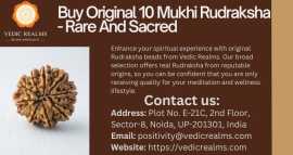 Buy Original 10 Mukhi Rudraksha - Rare And Sacred, $ 0
