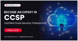 Cloud Security Expert with CCSP Certification, New York