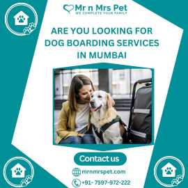 Best Dog Boarding Services in Mumbai, Mumbai